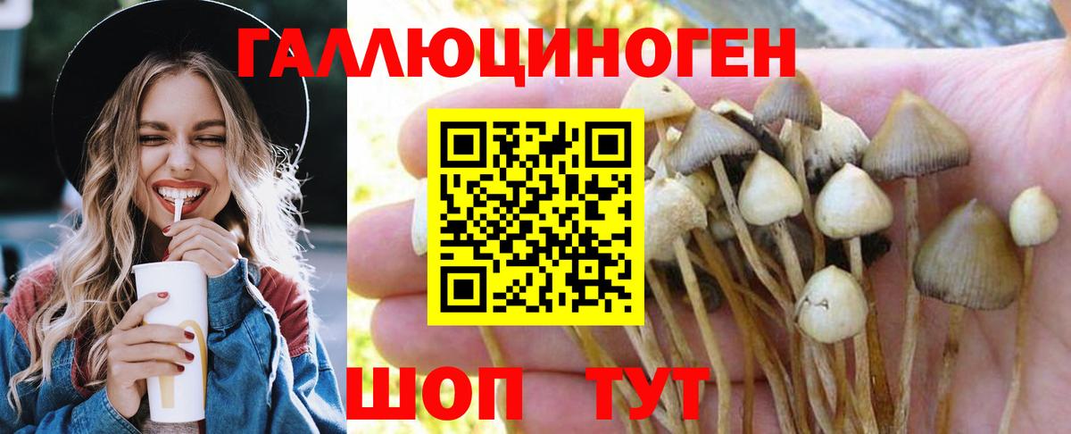 Псилоцибиновые грибы мицелий Кириши