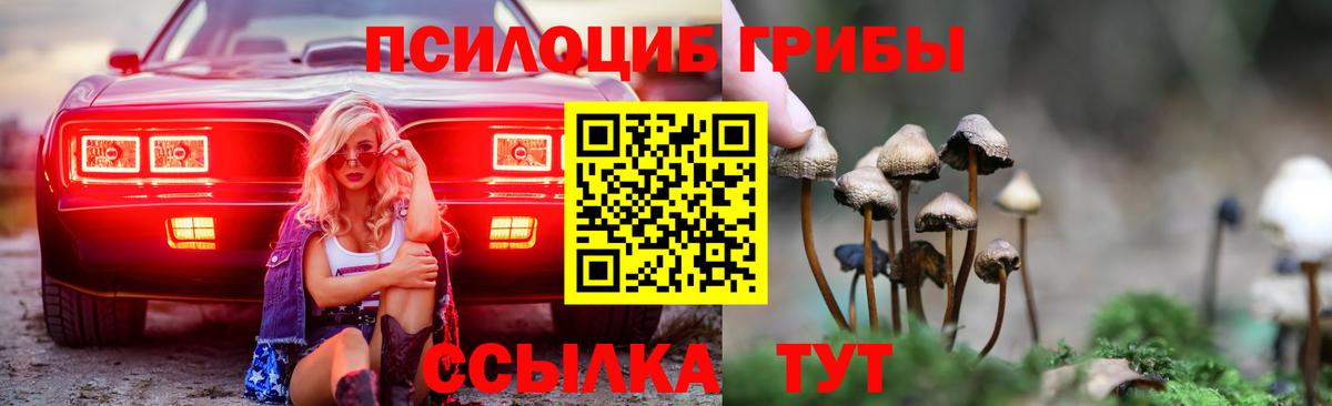 Псилоцибиновые грибы мицелий  купить наркотики сайты  Кириши  Вход с VPN 